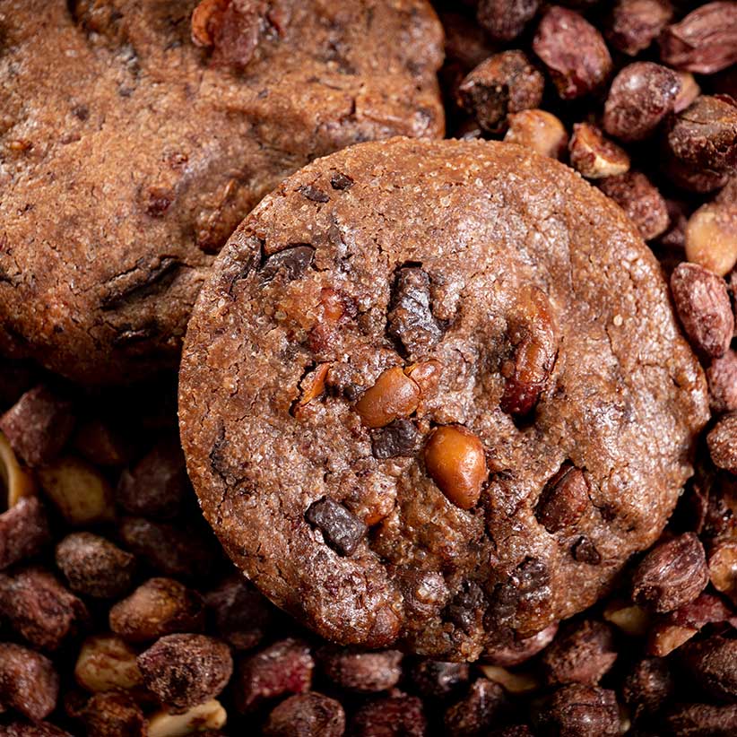 Cookie chocolat cacahuètes par Nina Métayer 2022