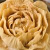 La Fleur mélilot abricot par Nina Métayer