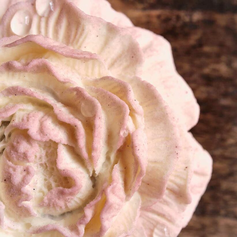Fleur mûre, cassis, lavande par Nina Métayer